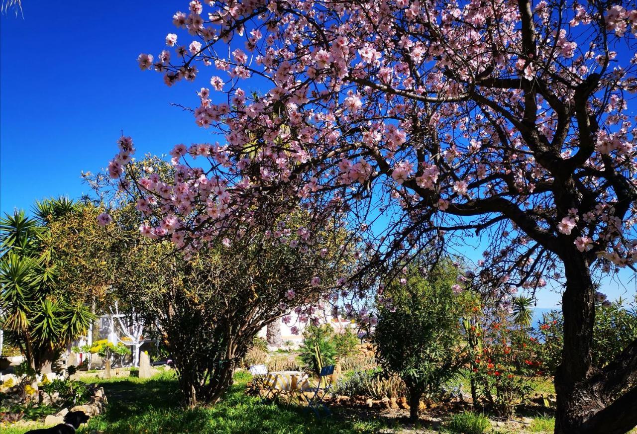 Finca Dulce Maikel Granadilla de Abona Kültér fotó