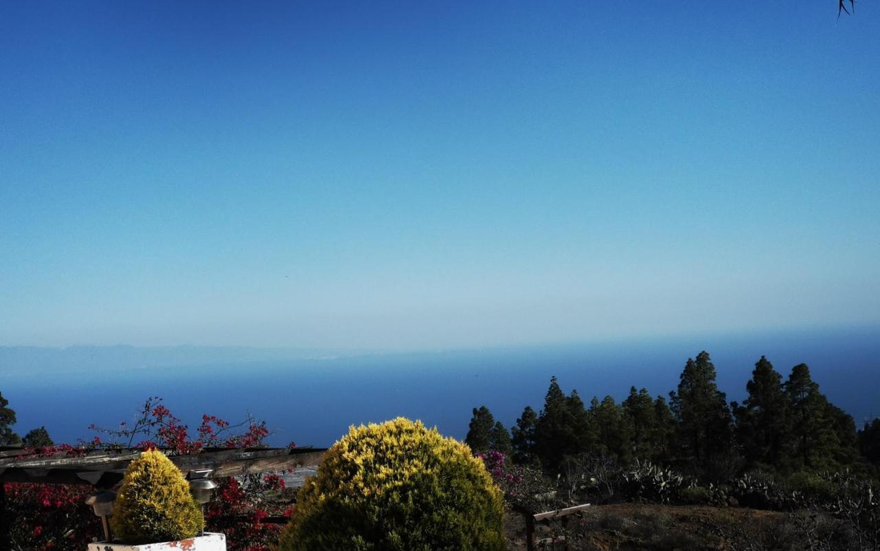 Finca Dulce Maikel Granadilla de Abona Kültér fotó