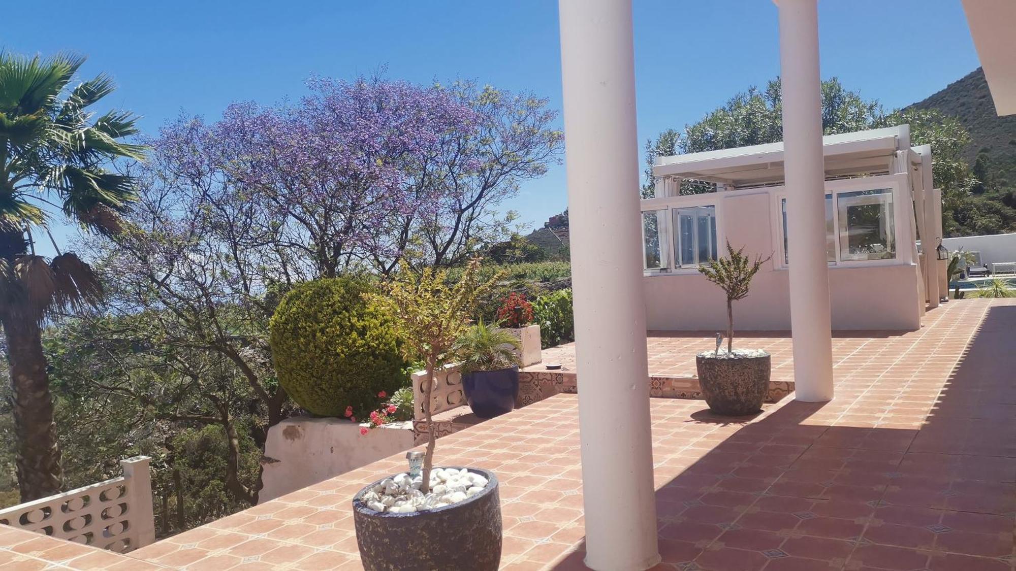 Finca Dulce Maikel Granadilla de Abona Kültér fotó