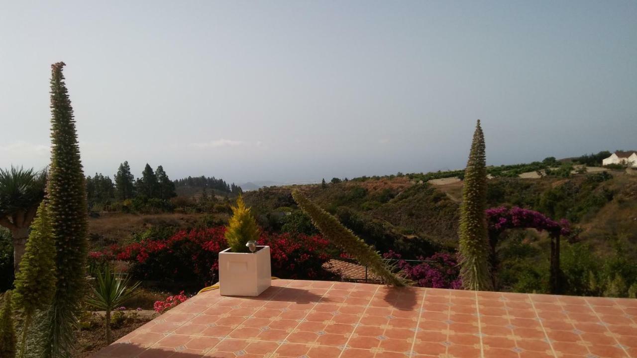 Finca Dulce Maikel Granadilla de Abona Kültér fotó