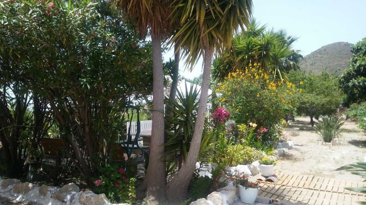 Finca Dulce Maikel Granadilla de Abona Kültér fotó