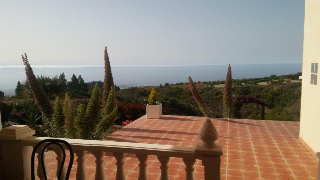 Finca Dulce Maikel Granadilla de Abona Kültér fotó